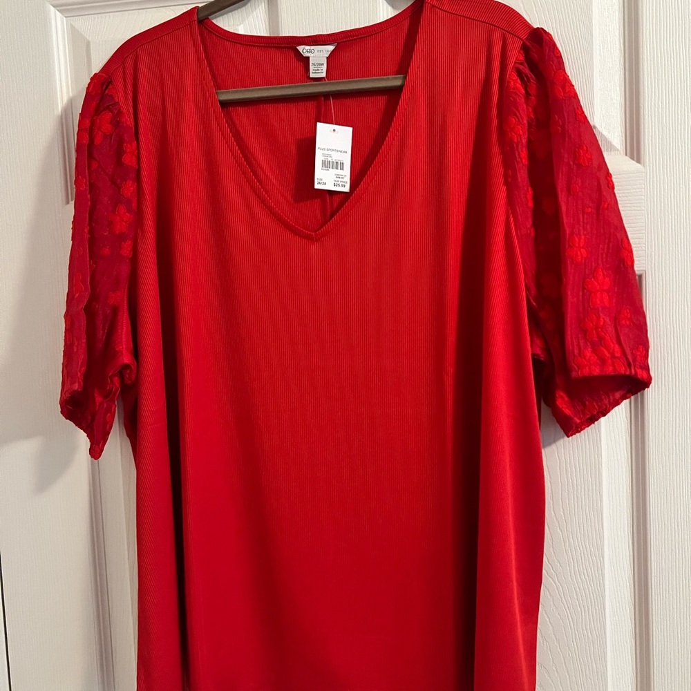 NWT Cato Top